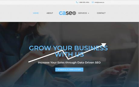 Caseo LTD